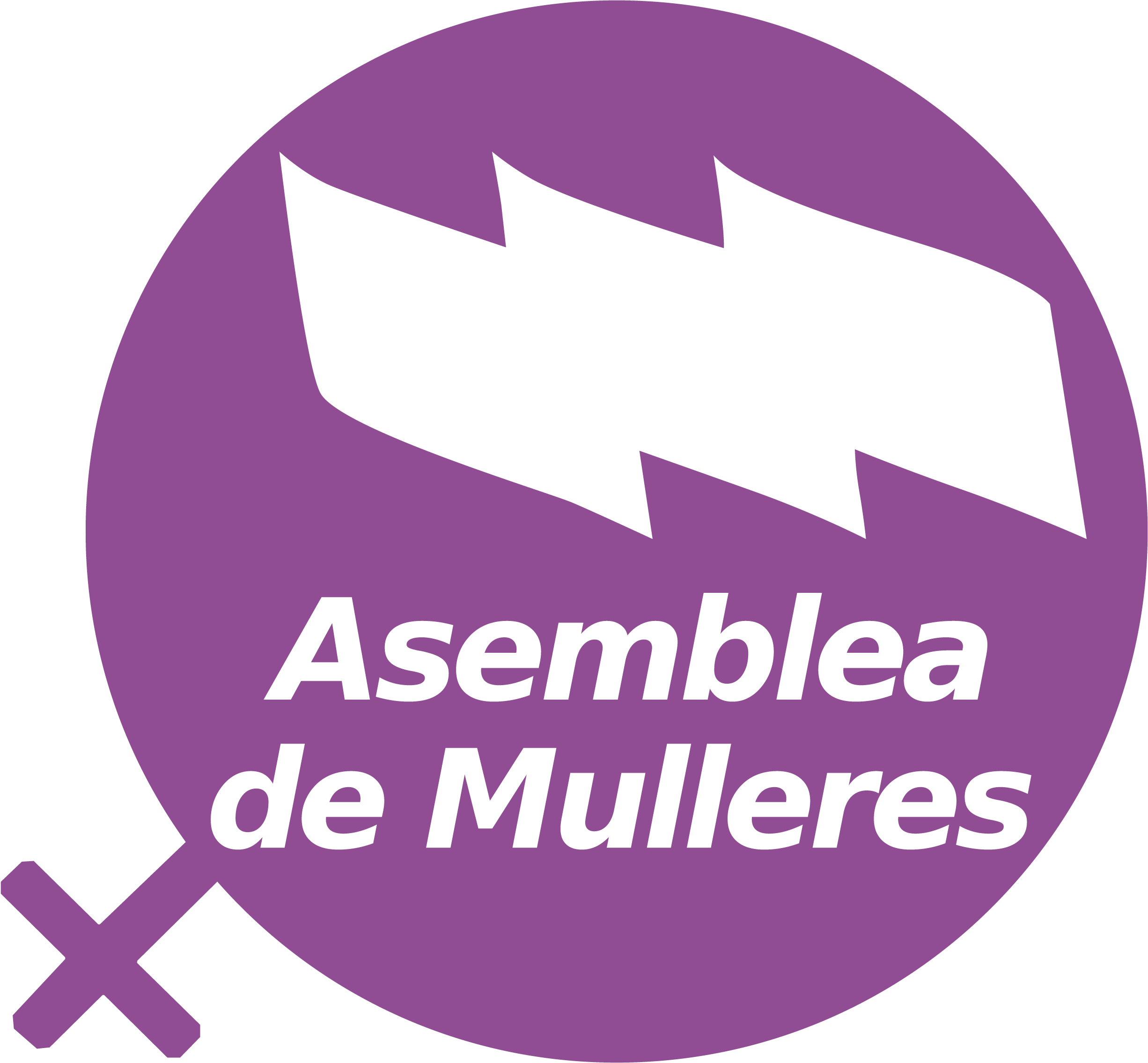 Ante as inadmsibles declaracións do director xeral de Loita contra a Violencia de Xénero da Xunta de Galicia