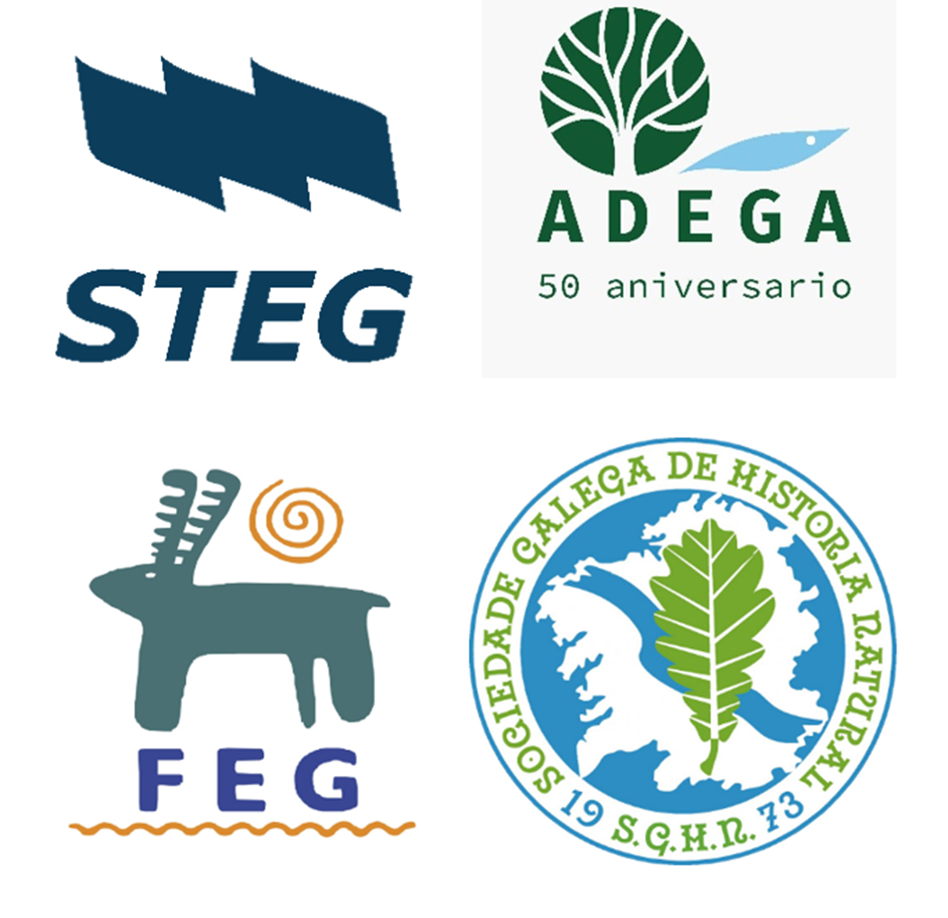 DESMONTANDO A FALSA SUSTENTABILIDADE DA CONSELLERÍA DE EDUCACIÓN